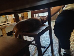  at Vegan Bowl 一碗食舖 - Yī Wǎn Shí Pù in Puli