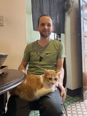 There’s a cat! He’s cool 😎  #Veganuary at Vegan Bowl 一碗食舖 - Yī Wǎn Shí Pù in Puli