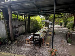 Open air seating under huge trees  at Chia Eatery in Dumaguete