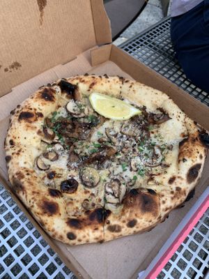 Shroomy  at Dr Drooly in Munich