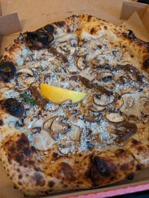 shroomy at Dr Drooly in Munich