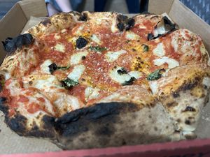 Marinara  at Dr Drooly in Munich