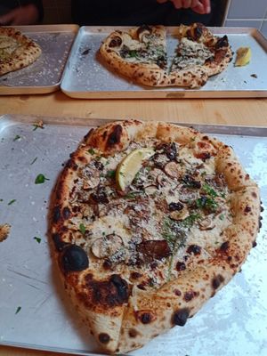  at Dr Drooly in Munich