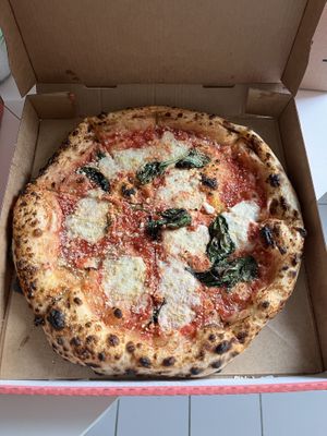 Cheezy  at Dr Drooly in Munich