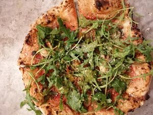 Rosa at Dr Drooly in Munich