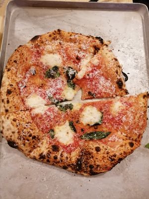 Cheezy at Dr Drooly in Munich