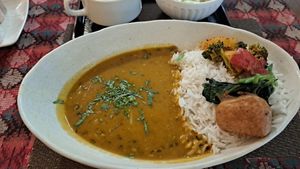 Dal at WanoWa Cafe in Osaka