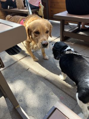   at Water Street Bagel Co in Syracuse