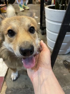   at Nuoc Leo Chay in Ho Chi Minh City