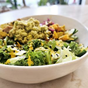 Coastal Macro Bowl at Kokomo in North Vancouver