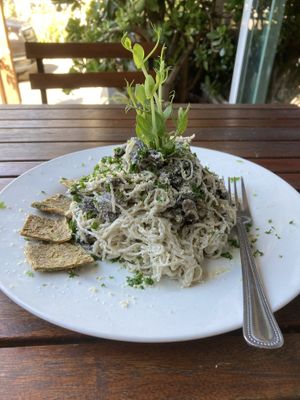 Mushroom stroganoff - w kelp noodles! at Peace Pies in San Diego
