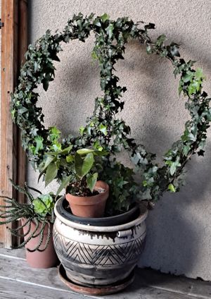  at Peace Pies in San Diego