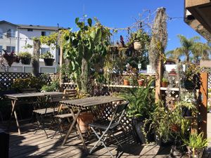 Beautiful outdoor seating  at Peace Pies in San Diego