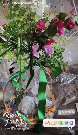 Veganinha - lançamento at Café da Manhã Vegano in Rio De Janeiro