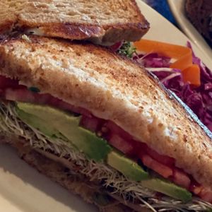 Portabello Mushroom at Liquid Earth in Baltimore