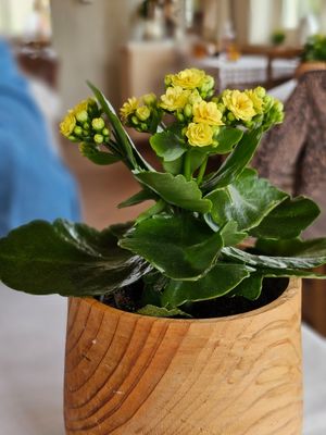  at Il Villino delle Rose in Valbrembo