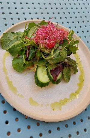 Sourdough bread with hummus, avocado and veggies at Greenfinch in Berlin