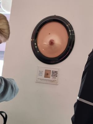  at Greenfinch in Berlin