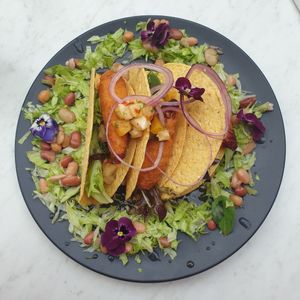 Vegan Taco at Jamaica Blue in Brookvale