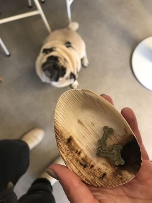 They even had vegan treats for the dog 🐾   at 4minutes Cafe in Budapest