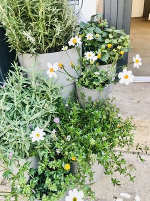   at 4minutes Cafe in Budapest