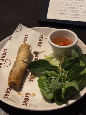   at Light Years in Noosa Heads