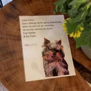 dogs are welcome but rambo is the boss at Trivitys in Berlin