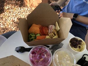 Hummus platter and lemonade  at Gaia's Garden Cafe in St George