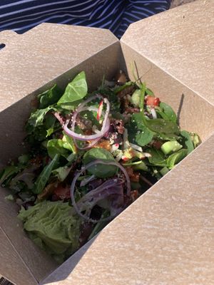 Do not get discouraged by the COVID plate to go ware, the food is amazing: the salad rocks! #Veganuary at Gaia's Garden Cafe in St George