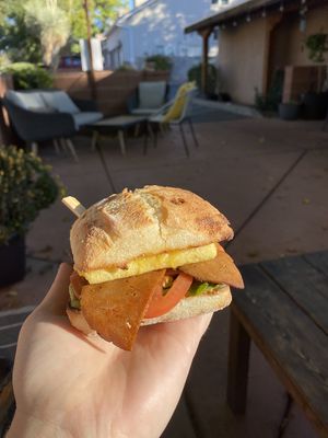 JustEgg Sandwich  at Gaia's Garden Cafe in St George