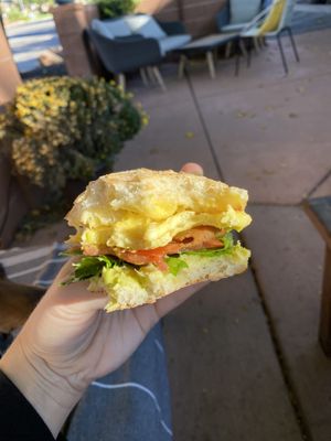 JustEgg Sandwich  at Gaia's Garden Cafe in St George