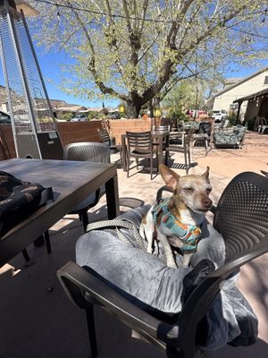 Patio area  at Gaia's Garden Cafe in St George