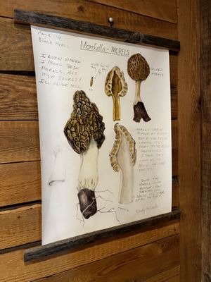   at Hash in Stone Ridge