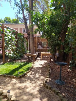 Patio at CactusBerry in Santiago
