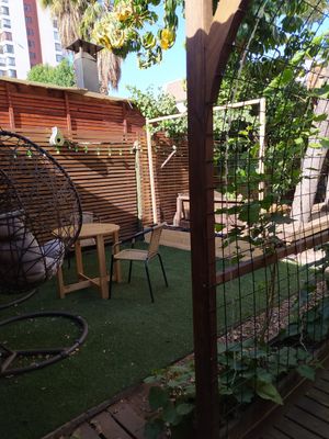 Patio at CactusBerry in Santiago