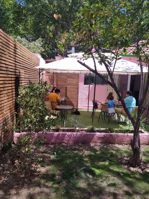 Inner garden at CactusBerry in Santiago