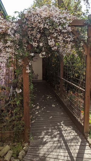  at CactusBerry in Santiago