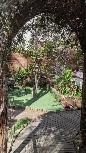  at CactusBerry in Santiago