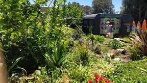 Gardens at Freaks of Nature in Culburra Beach