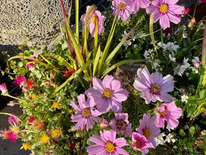 decoration at Maison Viet in Leipzig