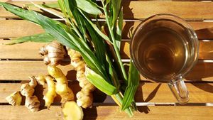  at Rainbow Root Teas in Davie