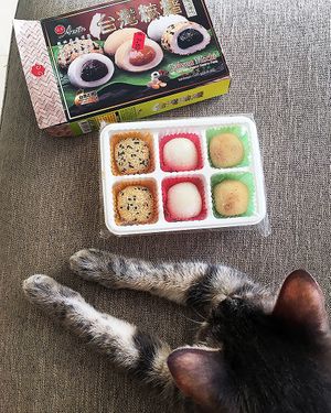 There are many types of vegan mochi. I check the E numbers on Vegsafe app to be sure all the mochi ingredients are vegan. at Chinese Asia Supermarket in Paphos