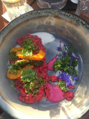 Red beet risotto  at Gasthaus Siriuskogl in Bad Ischl