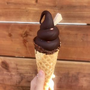 🌺🍦 at Iconoglace in Montreal