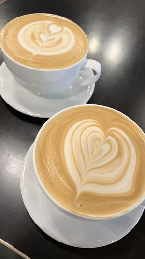 Lavender Oatmilk Lattes  at Bean & Pie in Coeur D Alene