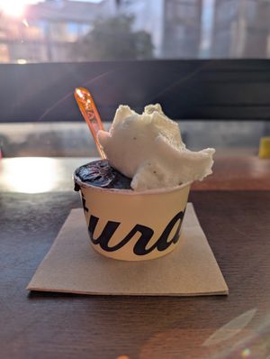 choco and lemon&basil sorbets at Mistura - Toledo in Madrid
