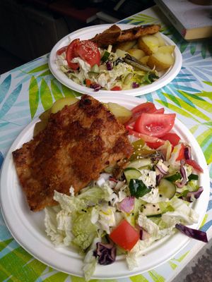 Soybean chop with potatoes and salad. at Świadomość in Sopot