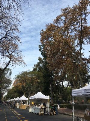 Sunday market at Sabe La Tierra - Caballito  in Buenos Aires