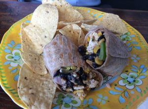 southwest wrap with tofu substituted for chicken at Field of Greens in West Palm Beach