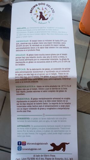  at Brown Dog Gelato in Rosarito